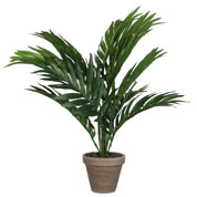 Planta Artificial - Palmeira Areca - MICA